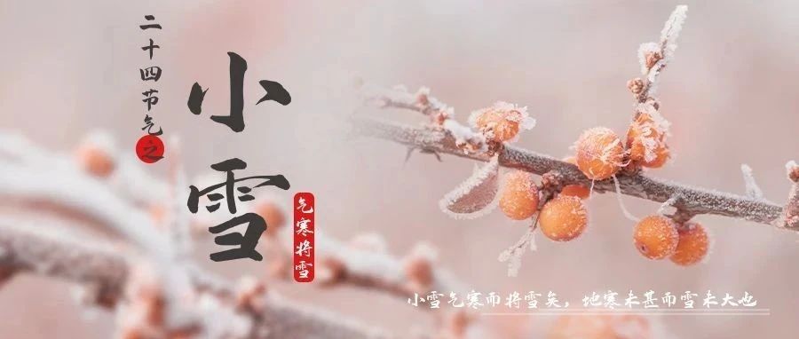 今日，小雪！